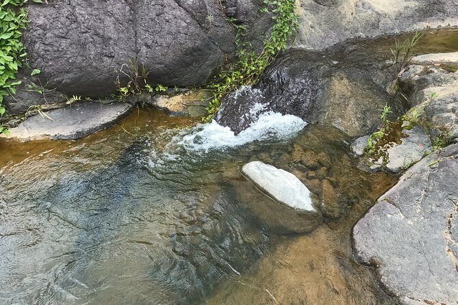 Toro Negro River Hike & Cliff Jumping Adventure; San Juan Pick Up - Booking Information