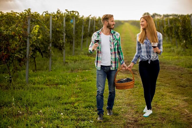 Toronto: Private Wine Tasting Tour in Niagara-on-the-Lake - Accessibility and Participation