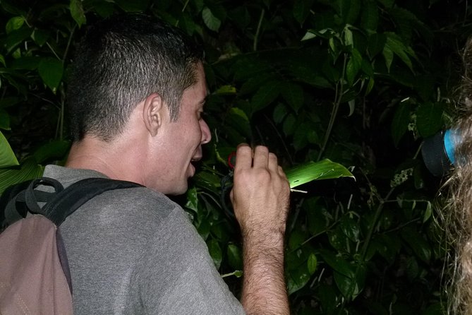 TORTUGUERO MOST POPULAR: Canoe and Night Tour (Jul-Oct Turtle) - Turtle Watching Season