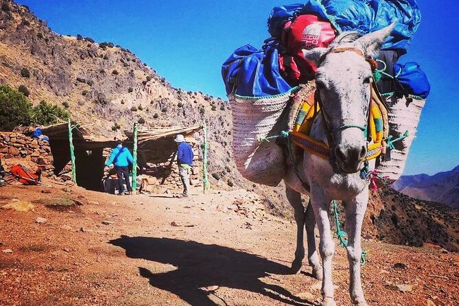 Toubkal Ascension 2 Days - Inclusions and Services