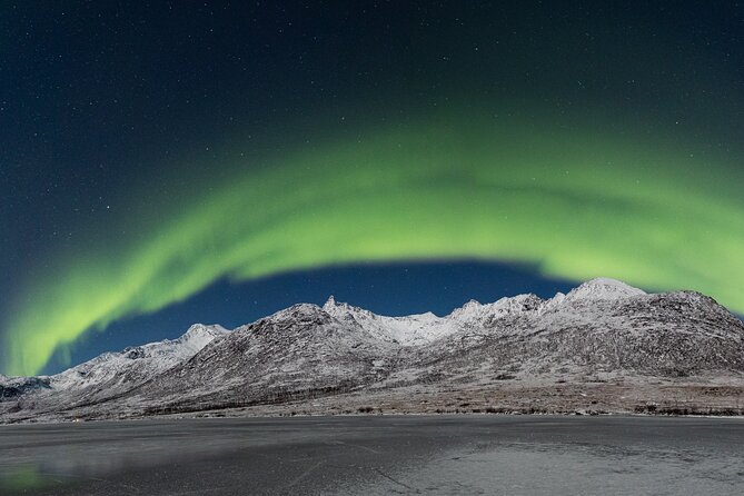 Tour in Search of the Northern Lights in Tromso - Tour Inclusions and Amenities
