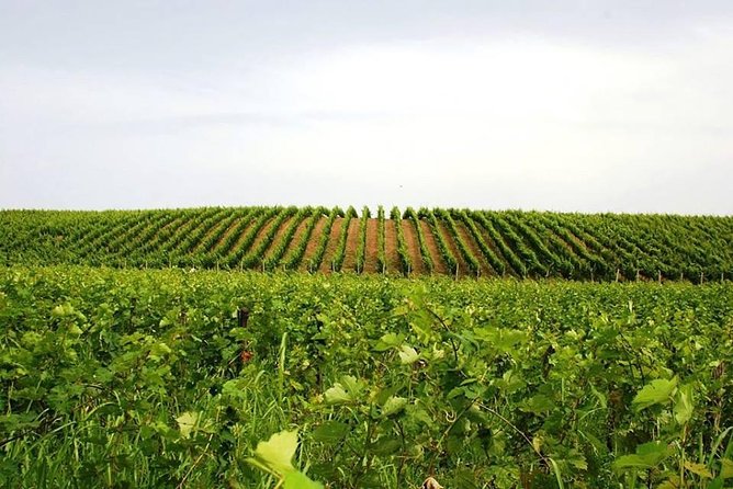 Tour of Kruja and Wine Tasting in One Day From Tirana - Booking Terms and Conditions