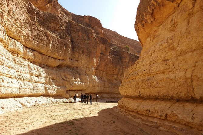 Tozeur and the Mountain Oasis - Activities and Adventures