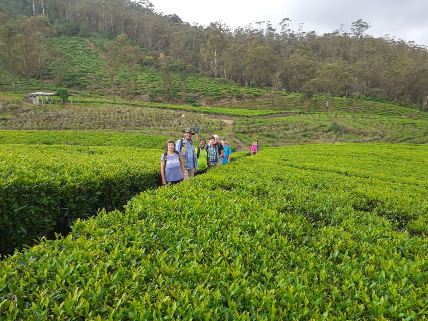 Trail Running From Haputele to Bambarakanda Water Falls - Booking and Pricing