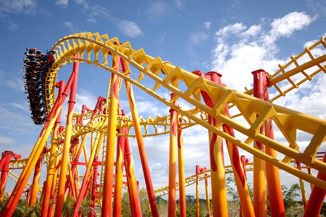 Transportation to Beto Carrero Park From Florianópolis - Exploring the Theme Park