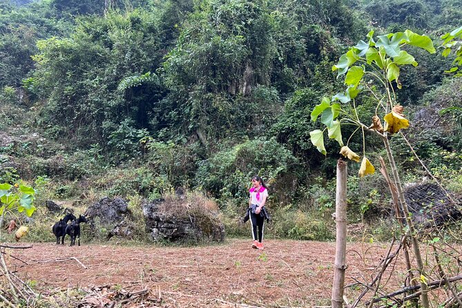 Trekking Ban Gioc Waterfall to Hidden Village on Unique Route - Highlights of Ban Gioc Waterfall
