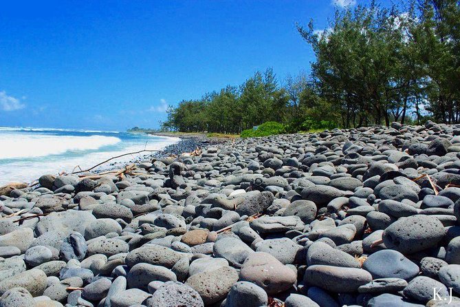 Tropical South West of Mauritius: Full-Day All Inclusive Tour (Visit to 3 Parks) - Customer Experiences and Feedback