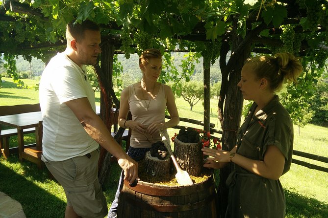 Truffle and Wine / Taste of Istria From Porec, Rovinj, PULA - Contact and Customer Support