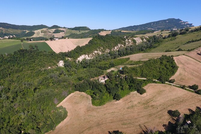 Truffle Hunting and Handmade Pasta Review - Truffle Hunting Excursion