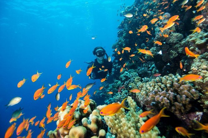 Try Scuba Dive (Baptism of the Sea) - Beginner-Friendly Scuba Exploration