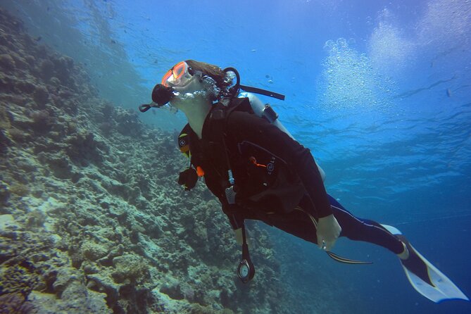 Try Scuba Diving Experience for Beginners in Hurghada - What to Expect During the Experience