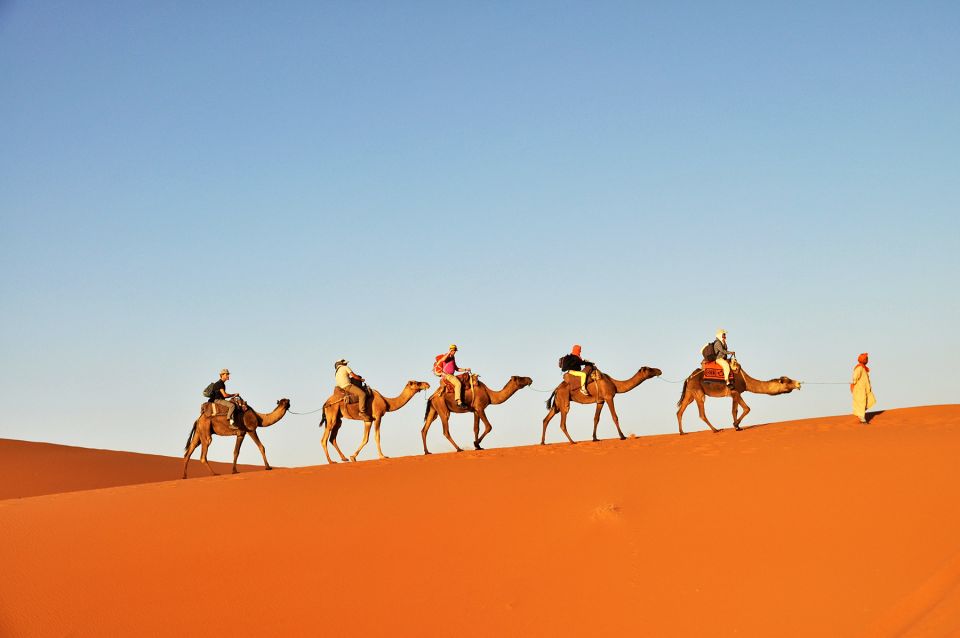 Tunisia: 3-Day Sahara Desert Camel Trek From Douz - Frequently Asked Questions