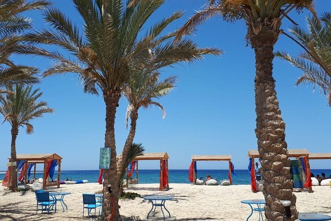Turtles Bay, Swimming With Turtles Hurghada & Marsa ALAM - Booking Details