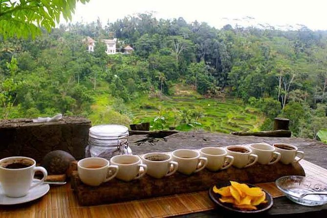 Ubud Cultural Tour - Booking Your Tour