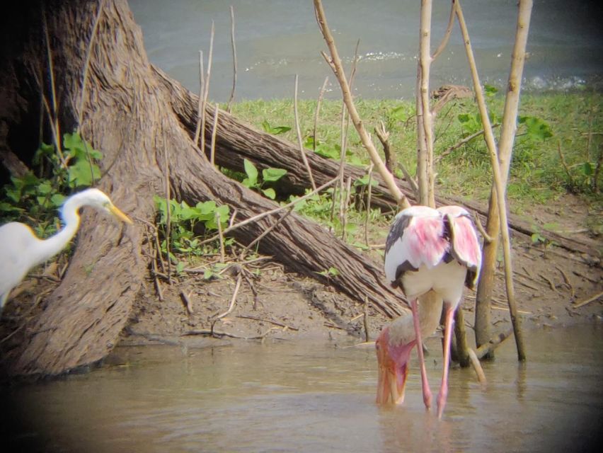 Udawalawe National Park | Full Day-10 Hours | All Inclusive - Convenient Pickup and Drop-off