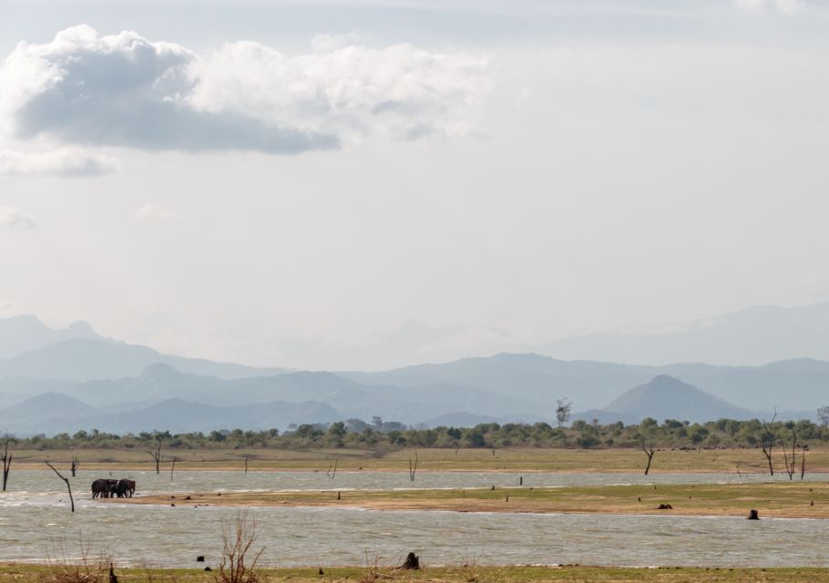 Udawalawe National Park Private Full-Day Safari - Logistics and Inclusions