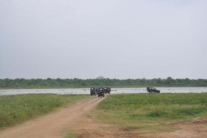 Udawalawe National Park Safari From Bentota - Tips for an Enjoyable Safari
