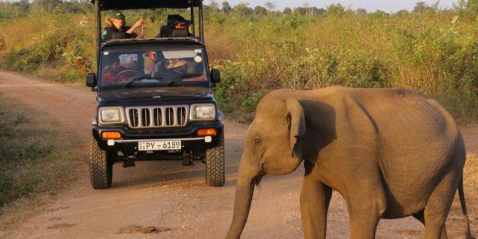 Udawalawe: Safari & Elephant Transit Home Visit With Lunch! - Cancellation Policy