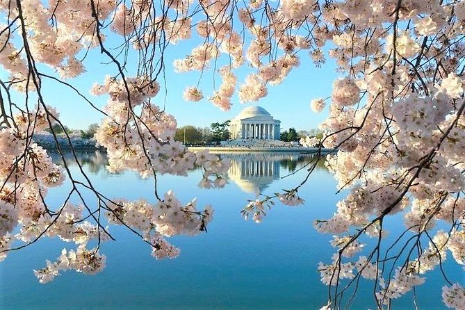 Ultimate Private City Tour of Washington DC - Up to 5 Guests - Guide Expertise