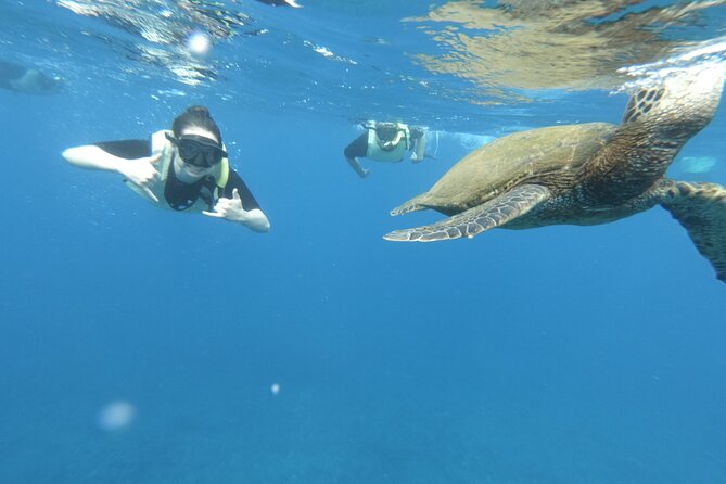 Ultimate South Island Zodiac Boat Snorkel Adventure in Kauai - Enhancing the Zodiac Boat Experience