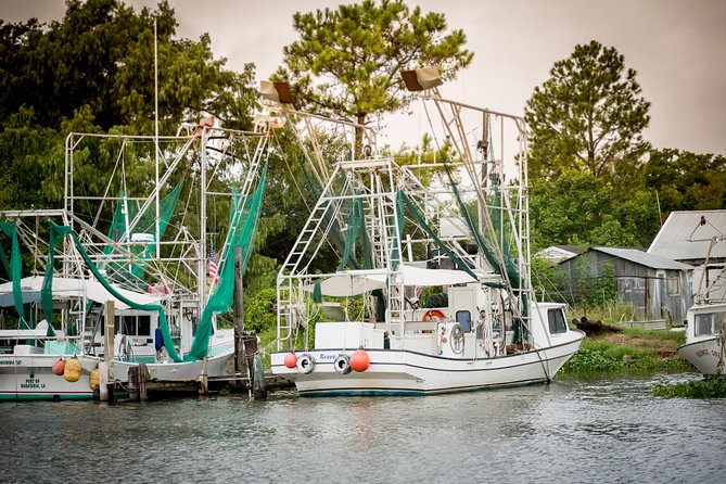 Ultimate Swamp Tour Experience With Transportation From New Orleans - Accessibility and Amenities