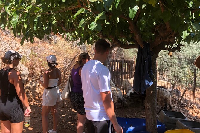 Unique Cooking Class in Our Farm, Biological Ingredients - What Youll Learn