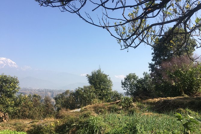 Unique Easy Hiking to Foxing Hill From Pokhara - Reviews and Ratings