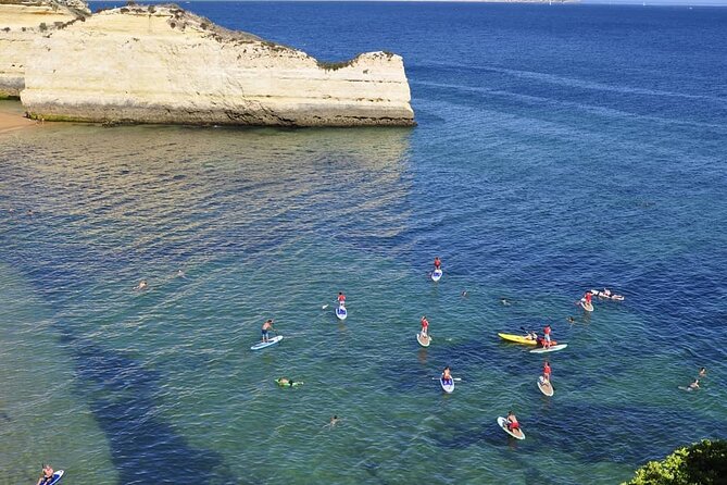 Unique Stand Up Paddle Experience! - Traveler Requirements
