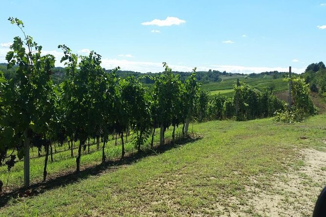 Unique Wine Tasting at the Winery of the Marchesi Incisa Della Rocchetta - Maximizing Sightseeing Opportunities