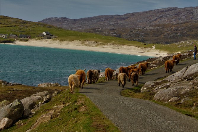 United Kindom Harris Day Tour  - Scotland - Scenic Landscapes and Culture