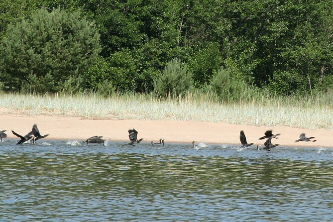 Untouched Sand Dunes - Guided Canoe Tour on UNESCO Site - The Sum Up