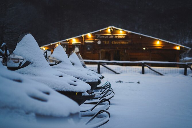 Ushuaia Night Adventure: Snowshoeing and Snowmobiling - Logistics and Transportation Details