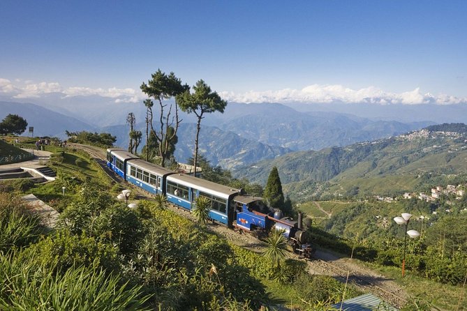 Ushuaia: Visit to the National Park and End of the World Train - Pickup and Meeting Details