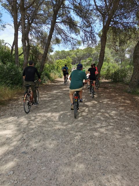 Valencia: Albufera Natural Park Bike and Boat Tour - Boat Tour Specifics