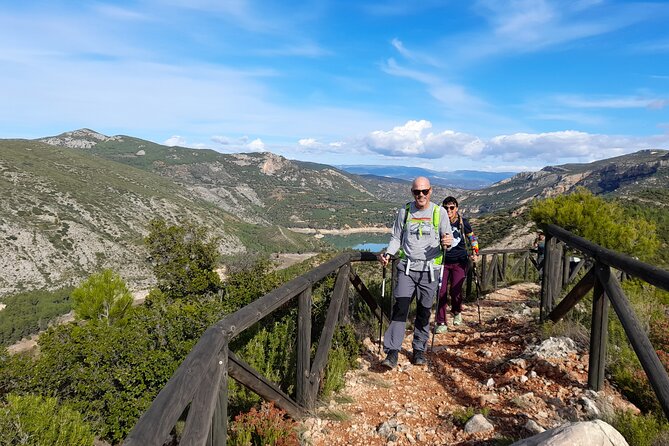 Valencia Buseo Reservoir Private Hiking Tour  - Valencia Province - Tour Pricing and Booking Options