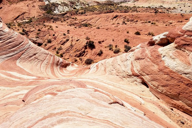 Valley of Fire Guided Hiking Tour From Las Vegas - Customer Testimonials