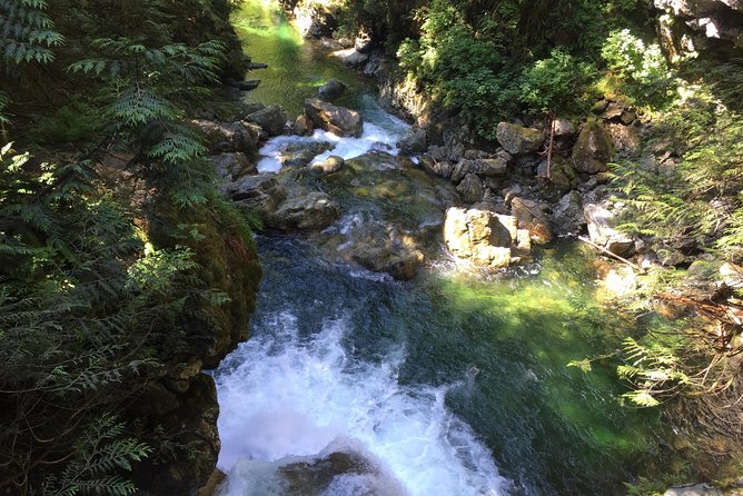 Vancouver Biking and Hiking Tour Including Lunch - Customer Reviews
