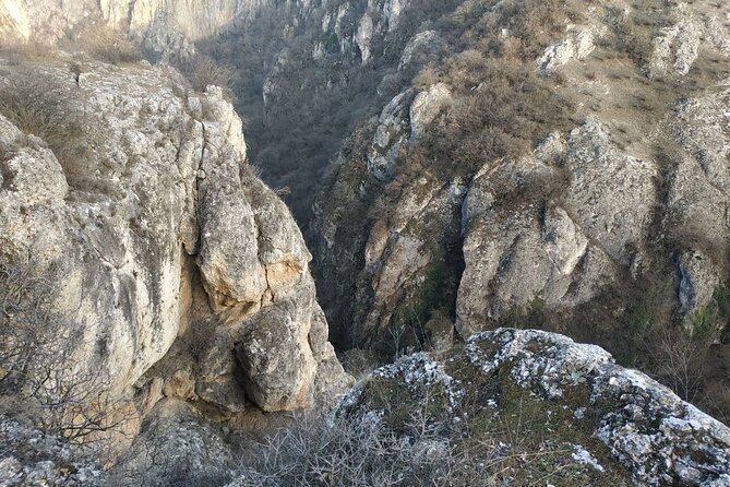 Vashlovani National Park Day Trip From Tbilisi - Exceptional Customer Reviews