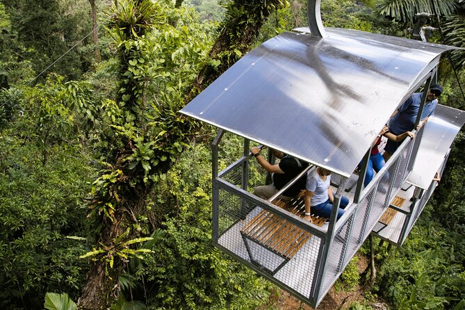Veragua Rainforest Experience and Tram Ride in Puerto Limon - Customer Feedback and Ratings