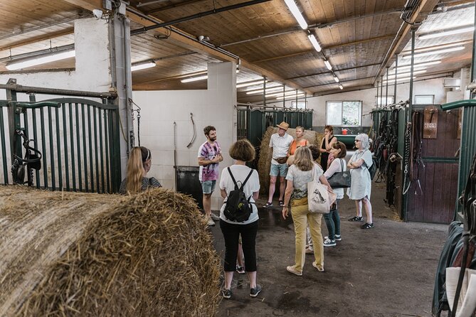 Vienna Horse-drawn Carriage Guided Tour - Constructive Feedback and Improvements