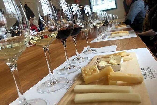 Viña Concha Y Toro Premium Tour (Half Day) - What to Expect
