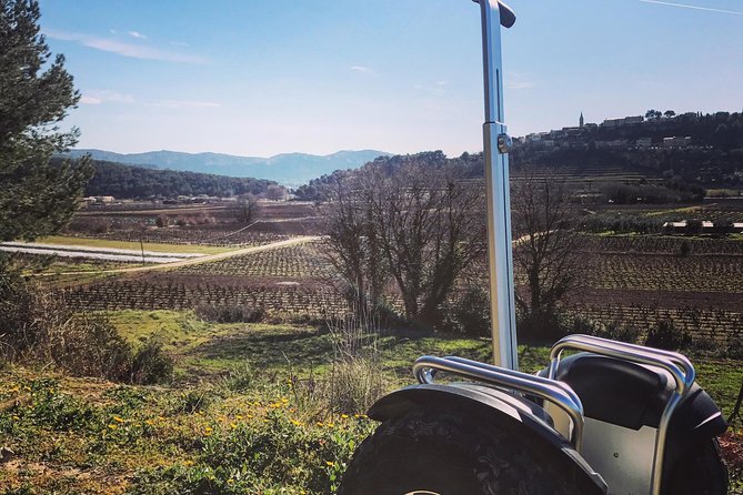 Vineyard Visit in Gyropode, Visit of Cave & Tasting Wines of Bandol - Discovering the Winemaking Process