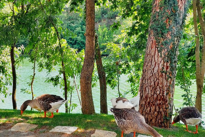 Vineyards & Wine Tasting Tour From Durres - Positive Guest Reviews
