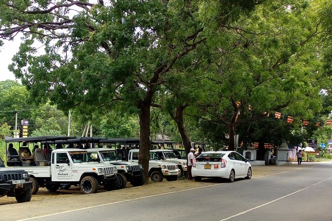 Visit Ella and Udawalawe Safari - 2 Days, All Inclusive - Pricing Details