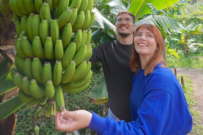 Visit the Ethnographic Park of La Gomera - Cultural Immersion