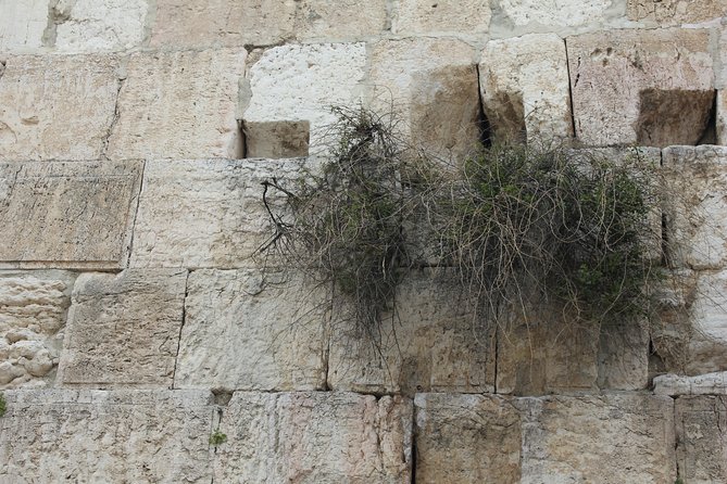 Visit the Old City of Jerusalem : 3000 Years of History, Archeology and Bible - Booking Process and Pricing