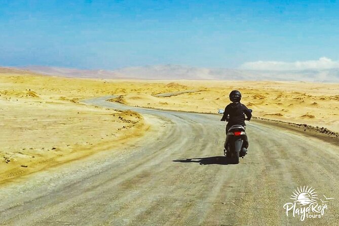 Visit the Paracas National Reserve on a SCOOTER - Understanding the Pricing and Booking Details
