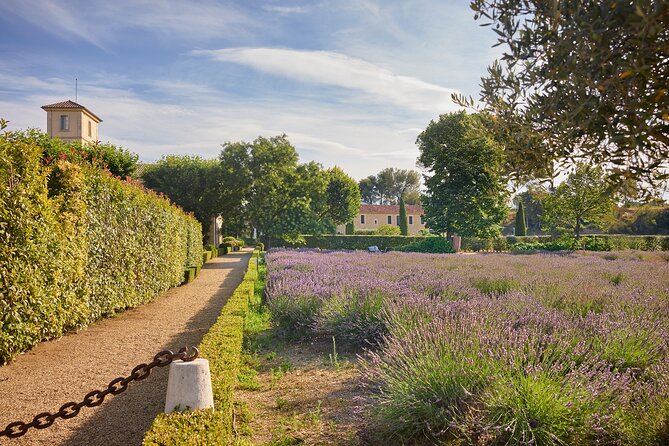Visit to the Cellars of Château Gigognan With Tasting - Booking Information
