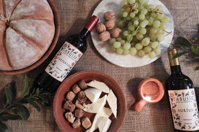 Visit to the Museum and Tasting of the Ancient Roman Wine - Flavor Characteristics and Notes