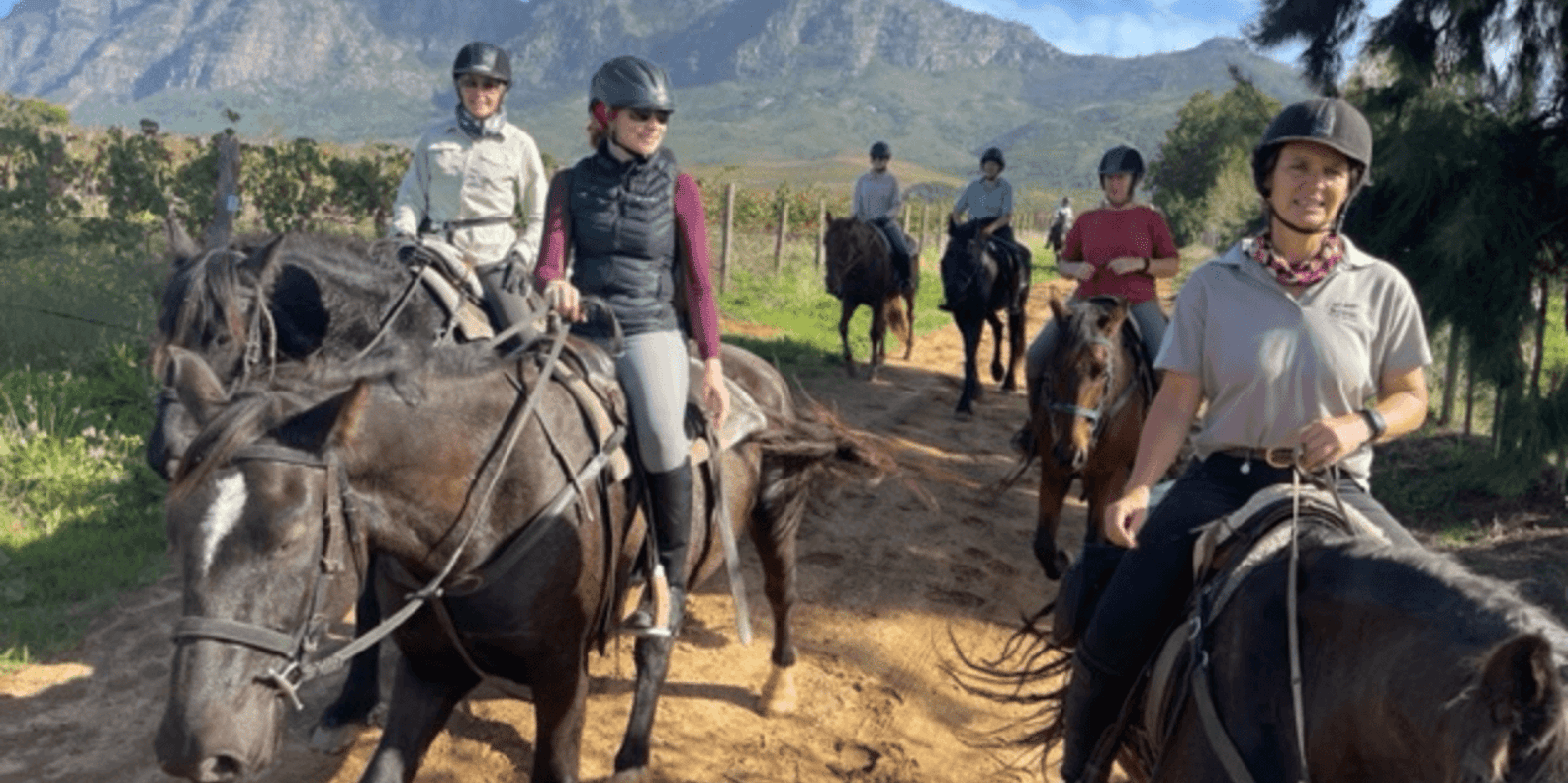 Vrede En Lust Wine Estate: 1H Breakfast Horse Trail - Preparation and Guidelines